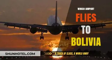 Discovering Bolivia: Which International Airports Offer Direct Flights?