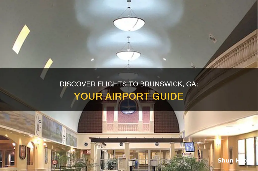 which airport flies to brunswick ga