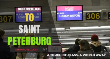 Top Airports Offering Direct Flights to Saint Petersburg, Russia