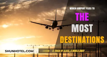 Exploring the World: Which Airport Connects to the Most Destinations?