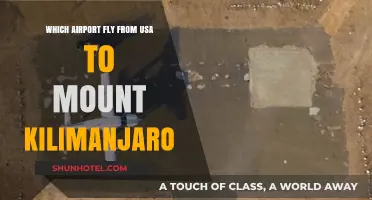 Fly to Mount Kilimanjaro: Top US Airports for Tanzania Trips