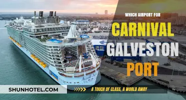Best Airports for a Cruise from Galveston Port