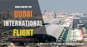 Choosing the Right Airport for Your Dubai International Flight