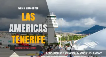 Tenerife's Main Gateway: Las Americas Airport Guide