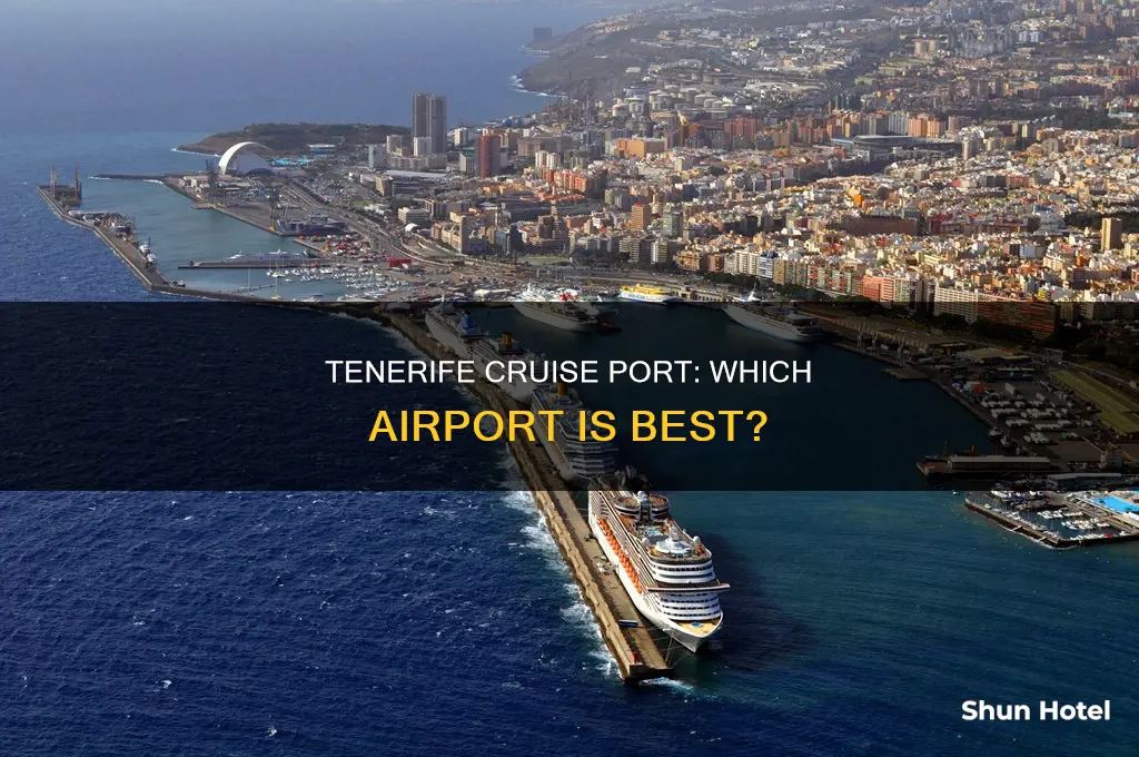 which airport for tenerife cruise port