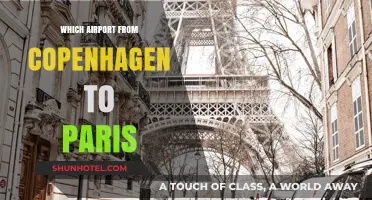 Travel Guide: Copenhagen to Paris Airport Options