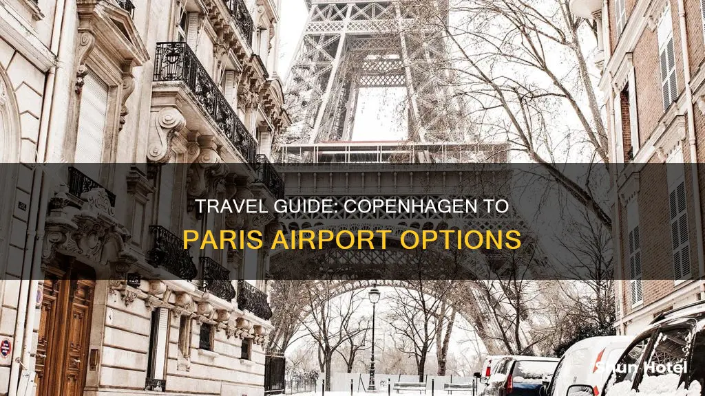 which airport from copenhagen to paris