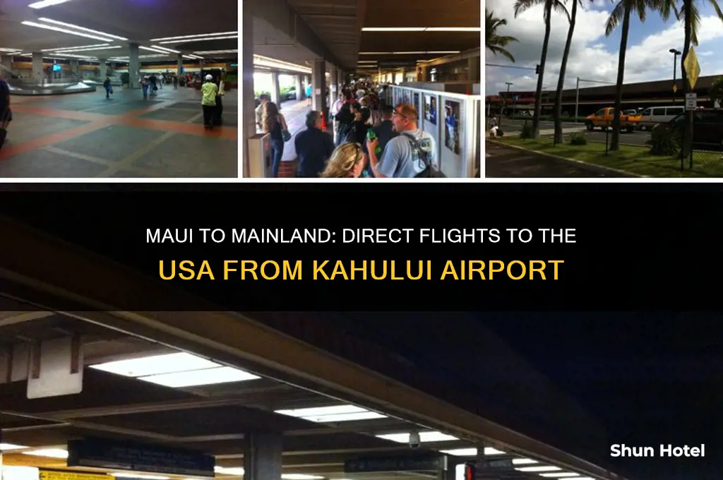 which airport from maui flies to usa