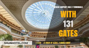 Exploring the Unique Airport with Two Terminals and 131 Gates
