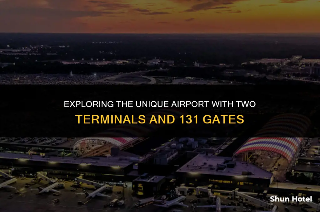 which airport has 2 terminals with 131 gates
