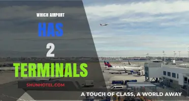 Exploring the Unique Features of Dual-Terminal Airports