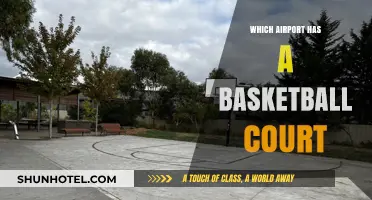 Travel, Layovers, and Hoops: Airports with Basketball Courts