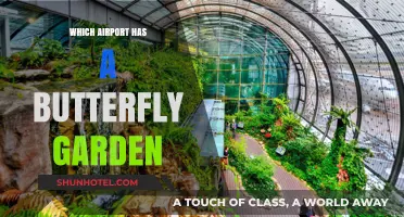 Explore Nature's Beauty at Airport Butterfly Gardens