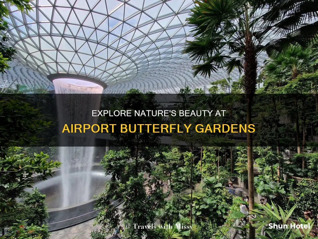which airport has a butterfly garden