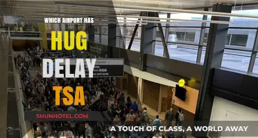 TSA Delays: Which Airports to Avoid?