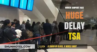 TSA Delays: Which Airports Have the Longest Wait Times?