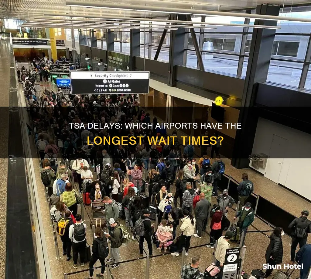 which airport has huge delay tsa