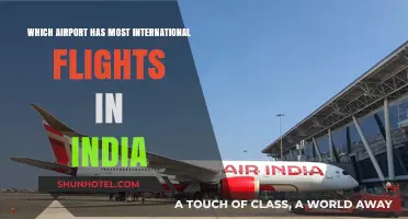India's Global Gateway: Which Airport Leads in International Flights?