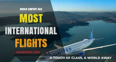 Discover the Global Hub: Airport with Most International Flights