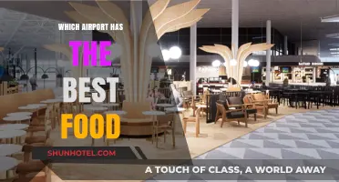 Airports with Delicious Food Options: A Traveler's Guide