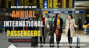 Global Travel Hub: Which Airport Tops International Passenger Traffic?