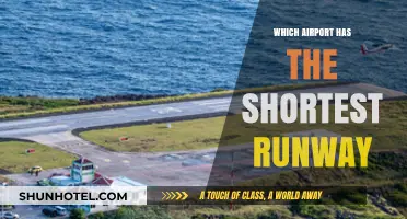 Runways of the World's Smallest Airports