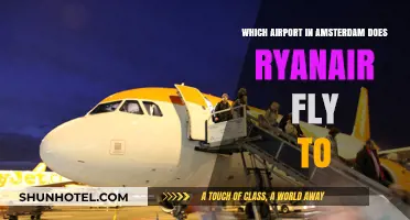 Ryanair's Amsterdam Hub: Which Airport Does It Serve?