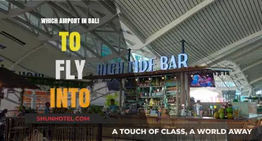 Best Bali Airport Guide: Where to Fly for Your Tropical Escape