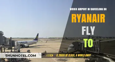 Ryanair's Barcelona Airport: Which Hub Serves Your Flight Needs?