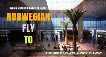 Norwegian Airlines' Barcelona Destination: Which Airport Does It Serve?