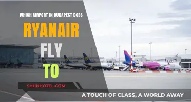 Ryanair's Budapest Airport: Which One Does It Fly To?