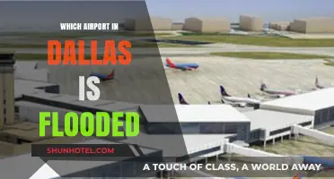 Dallas Airport Floods: Which One Was Affected?