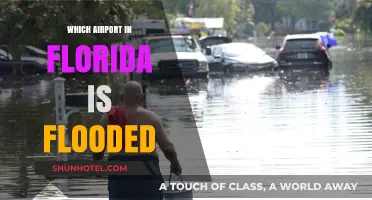 Florida's Flooded Airport: A Travel Disaster