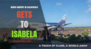 Traveling to Isabela Island: Which Galapagos Airport Serves It Best?