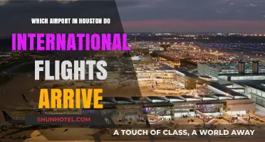 Houston's International Gateway: Which Airport Welcomes Global Flights?