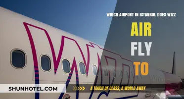 Wizz Air's Istanbul Destination: Which Airport Does It Serve?