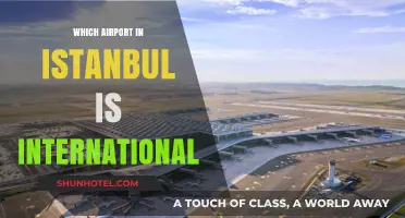 Istanbul's International Airports: A Guide to Navigating Global Travel Hubs