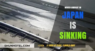 Japan's Sinking Airport: An Engineering Challenge