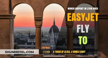 EasyJet's Lyon Airport Guide: Which Hub Serves Your Flight?