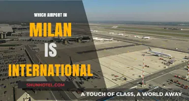 Milan's International Airports: A Guide to Malpensa and Linate