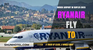 Ryanair's Naples Airport Guide: Which Hub Serves Your Italian Adventure?