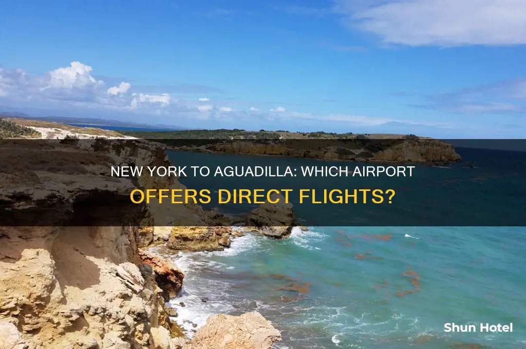which airport in new york flies to aguadilla