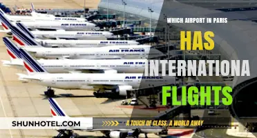 Paris Airports Guide: Which Hub Offers International Flights?