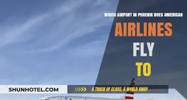 American Airlines Phoenix Airport Guide: Which Hub to Choose?