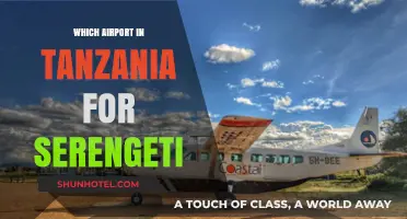 Serengeti Safari: Choosing the Right Airport in Tanzania