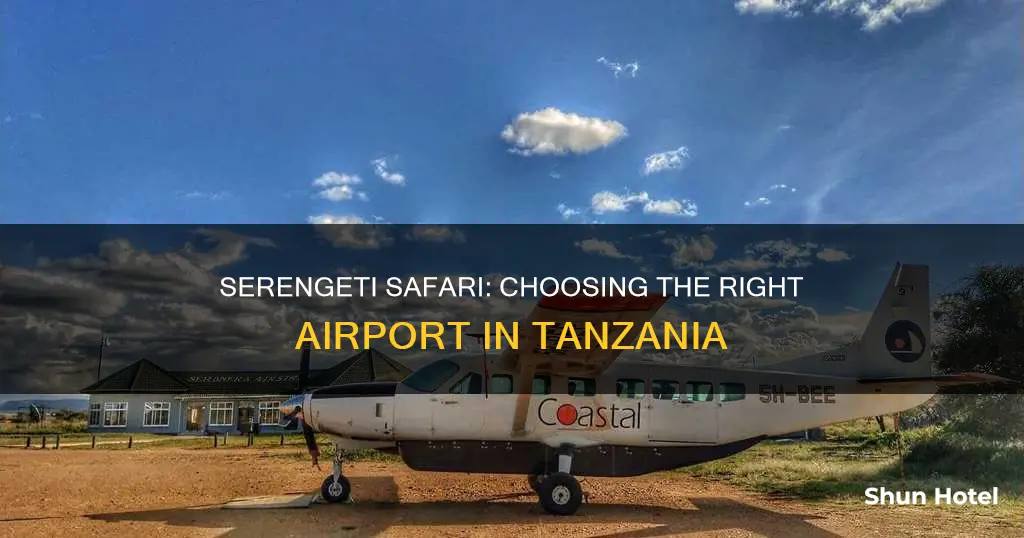 which airport in tanzania for serengeti