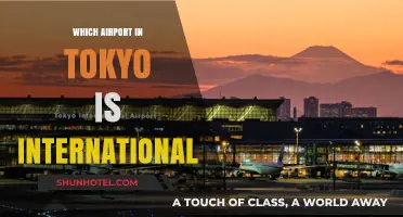 Navigating Tokyo's International Airports: A Comprehensive Guide for Travelers