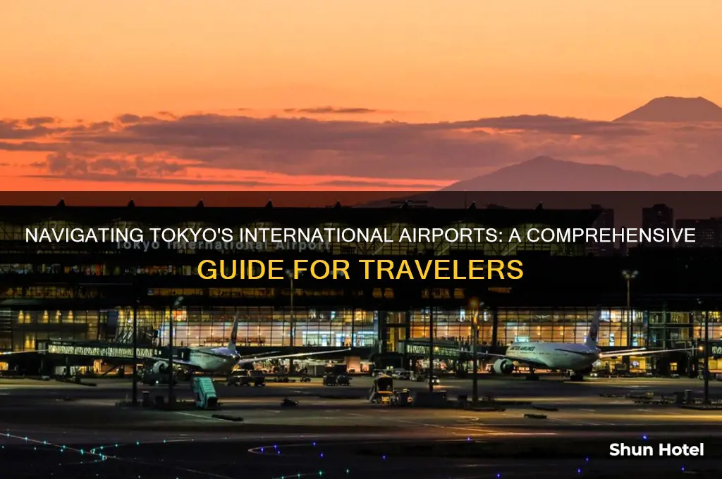which airport in tokyo is international