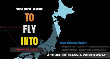 Tokyo Travel Guide: Choosing the Best Airport for Your Trip