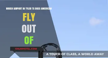 American Airlines Flights from Tyler, TX: Which Airport to Choose?